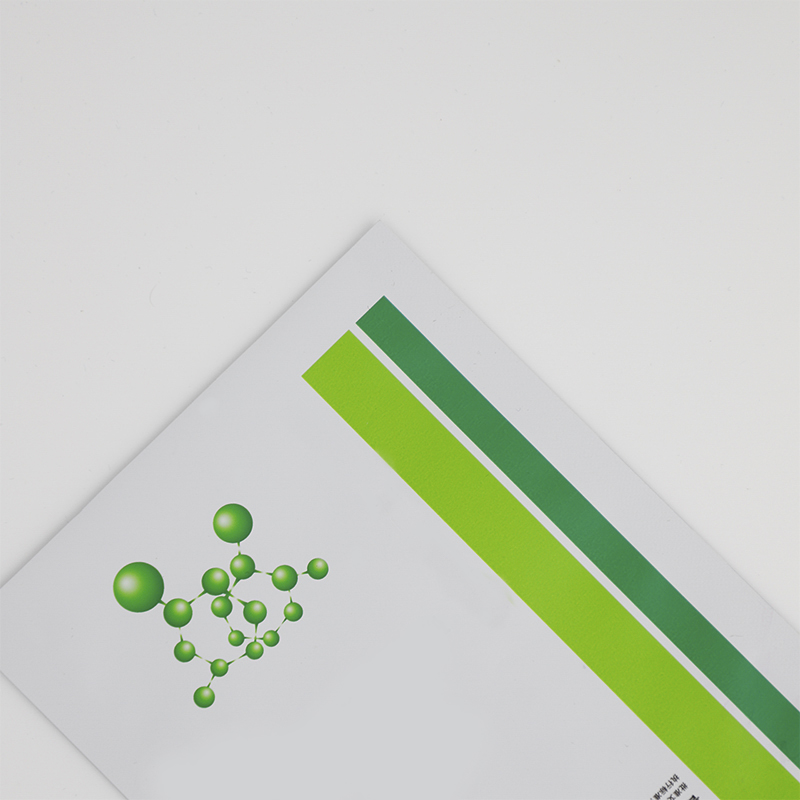 定制打印尺寸设计铝箔塑料可重复密封的面部医疗面具包装袋医疗包